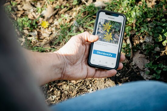 Fotografieren Sie einfach mit dem Handy Ihre Funde! Foto: LWL/Steinweg