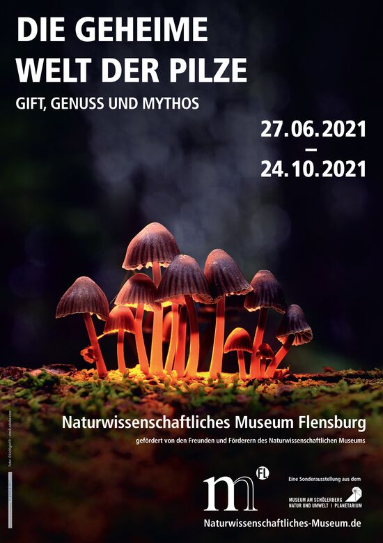 Pilze, Ausstellung, Naturwissenschaftliches Museum, Schifffahrtsmuseum