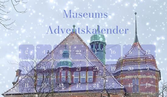 Adventskalender 2022 Museumsberg Flensburg und Naturwissenschaftliches Museum