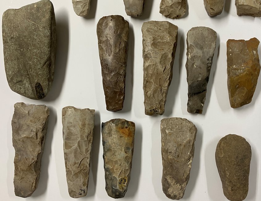 Das Foto zeigt 15 steinzeitliche Steinbeile in unterschiedlichen Bearbeitungsstadien auf einem hellen Untergrund.