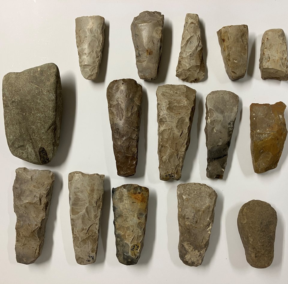 Das Foto zeigt 15 steinzeitliche Steinbeile in unterschiedlichen Bearbeitungsstadien auf einem hellen Untergrund.