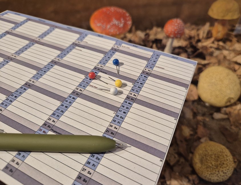 Das Foto zeigt einen Kalenderausschnitt. Auf dem Kalender sind der vordere Teil eines grünen Stiftes und vier bunte Pins zu sehen. Im Hintergrund sind leicht verschwommen verschiedene Pilze erkennbar.