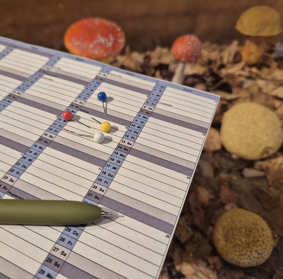 Das Foto zeigt einen Kalenderausschnitt. Auf dem Kalender sind der vordere Teil eines grünen Stiftes und vier bunte Pins zu sehen. Im Hintergrund sind leicht verschwommen verschiedene Pilze erkennbar.