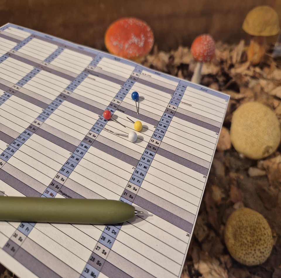 Das Foto zeigt einen Kalender.  Es sind 4 bunte Pins zu sehen.  Es ist ein grüner Stift zu sehen.