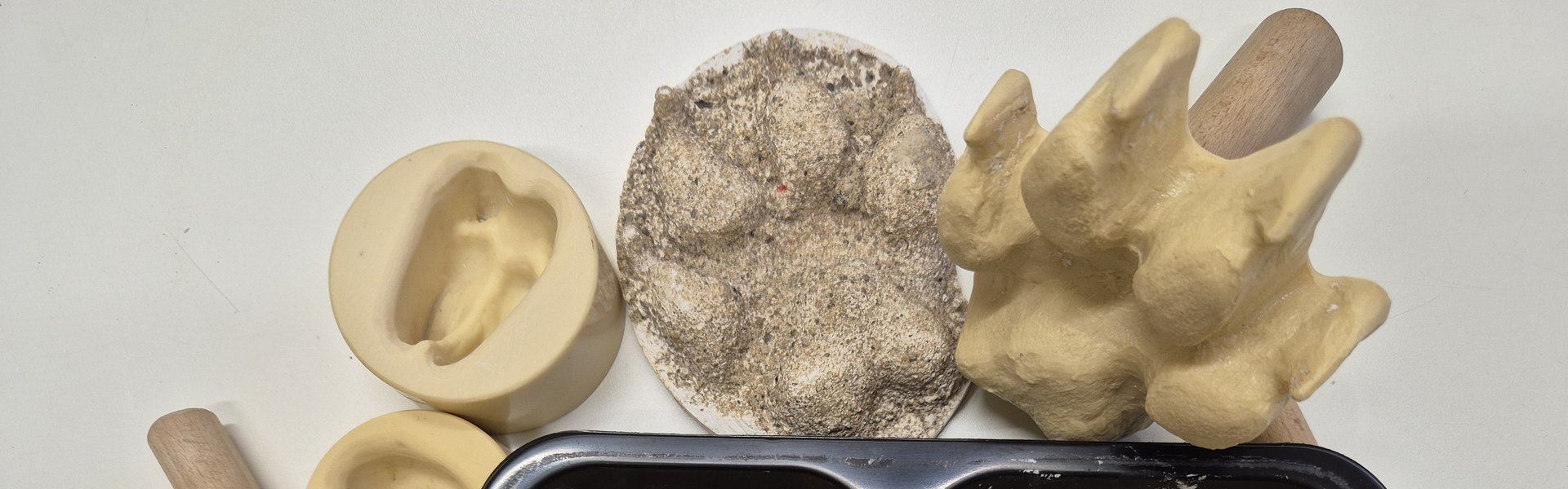 Das Foto zeigt eine schwarze Schale mit zwei Kammern. In beiden Kammern befindet sich Sand. In der Schale und darum befinden sich Stempel zum Spuren in den Sand abdrücken, Trittsiegel als Negativform und bereits fertig hergestellte Gipsabdrücke. Eine Hand drück einen Stempel in den Sand einer Schalenhälfte.