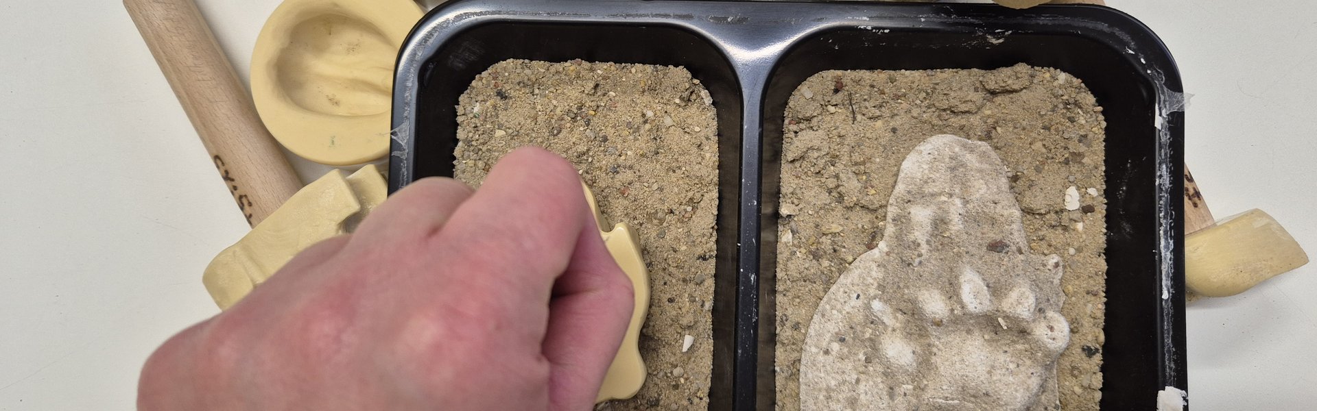 Das Foto zeigt eine schwarze Schale mit zwei Kammern. In beiden Kammern befindet sich Sand. In der Schale und darum befinden sich Stempel zum Spuren in den Sand abdrücken, Trittsiegel als Negativform und bereits fertig hergestellte Gipsabdrücke. Eine Hand drück einen Stempel in den Sand einer Schalenhälfte.