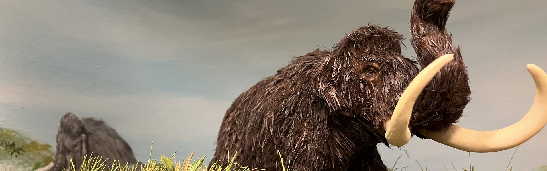 Sie sehen einen Ausschnitt des Dioramas zur Mammut-Steppe aus dem Eiszeit-Haus