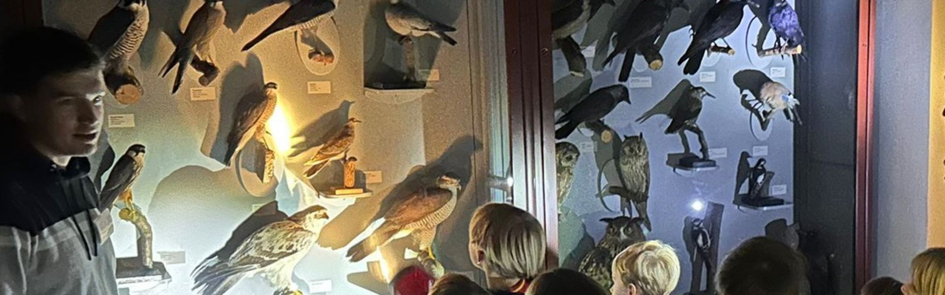 Eine Gruppe erleuchtet mit einer Taschenlampe im dunklen Museum eine Vitrine