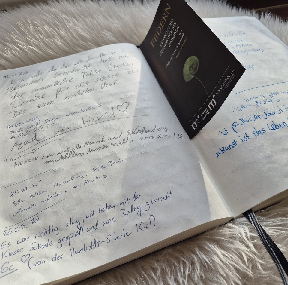 Das Foto zeigt den Blick in das aufgeschlagene Gästebuch der Museen. Das Buch liegt auf einem künstlichen, weißen Fell.