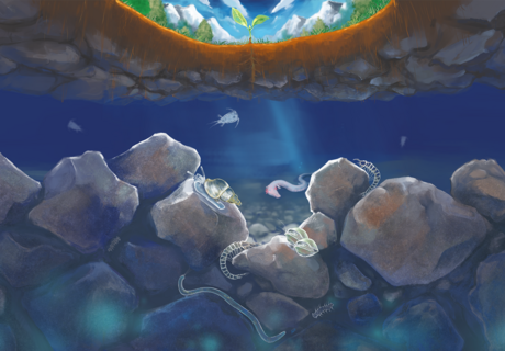 Colorierte Zeichnung des Lebensraum Grundwasser. Von oben dringt ein Lichtstrahl in die Tiefe.