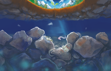 Colorierte Zeichnung des Lebensraum Grundwasser. Von oben dringt ein Lichtstrahl in die Tiefe.