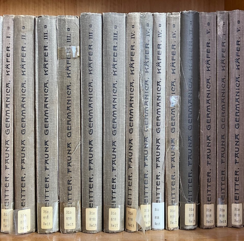 Das Foto zeigt 14 nebeneinander stehende, graue Bestimmungsbücher mit Signatur aus der Präsenzbibliothek des Naturwissenschaftlichen Museums.