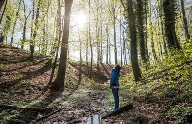 Wald als Erholungsort