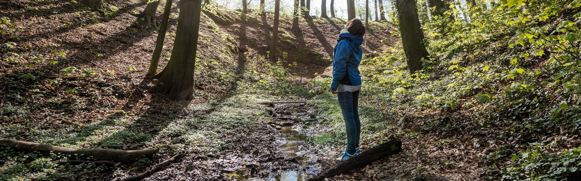 Wald als Erholungsort