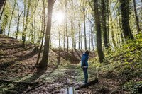 Wald als Erholungsort
