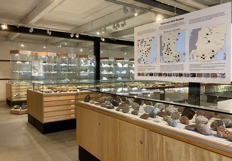 Auf dem Foto sieht man eine Vielzahl gut gefüllter Vitrinen. Die vorderste Vitrine zeigt Steine aus Schweden, über ihr hängt eine Informationstafel. Im Hintergrund des Fotos enthalten die Vitrinen Fossilien.