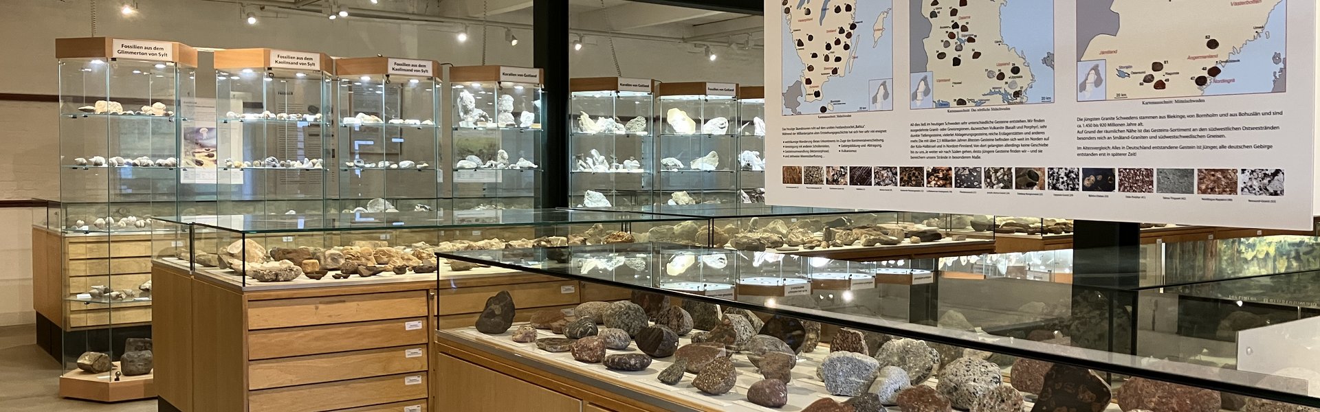Auf dem Foto sieht man eine Vielzahl gut gefüllter Vitrinen. Die vorderste Vitrine zeigt Steine aus Schweden, über ihr hängt eine Informationstafel. Im Hintergrund des Fotos enthalten die Vitrinen Fossilien.