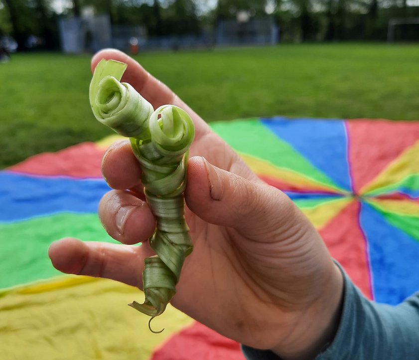 Auf dem Foto ist eine Hand abgebildet, die einen eingerollten Pflanzenstil hält. Im Hintergrund liegt ein buntes Schwungtuch auf dem Boden. Noch weiter im Hintergrund sind die Umrisse von Bäumen erkennbar.