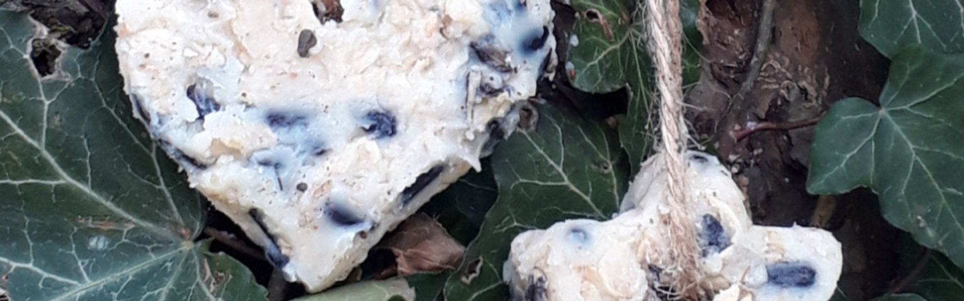 Selbstgemachtes Fettfutter für Vögel