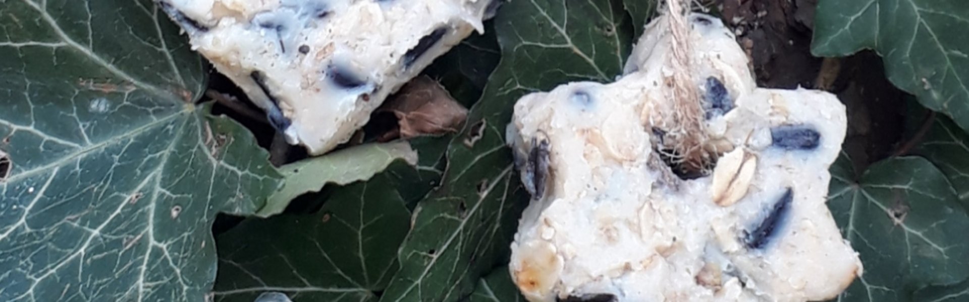 Selbstgemachtes Fettfutter für Vögel