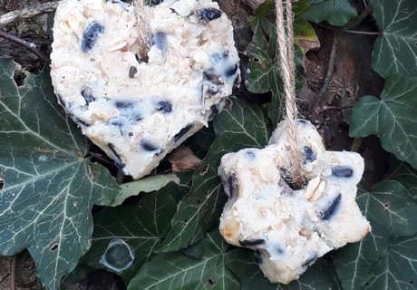 Selbstgemachtes Fettfutter für Vögel