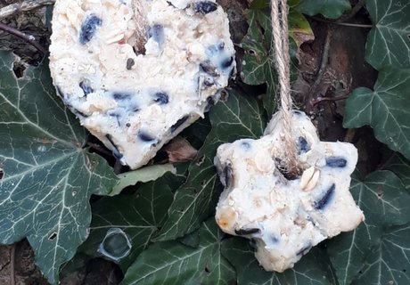 Selbstgemachtes Fettfutter für Vögel