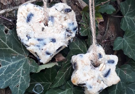 Selbstgemachtes Fettfutter für Vögel