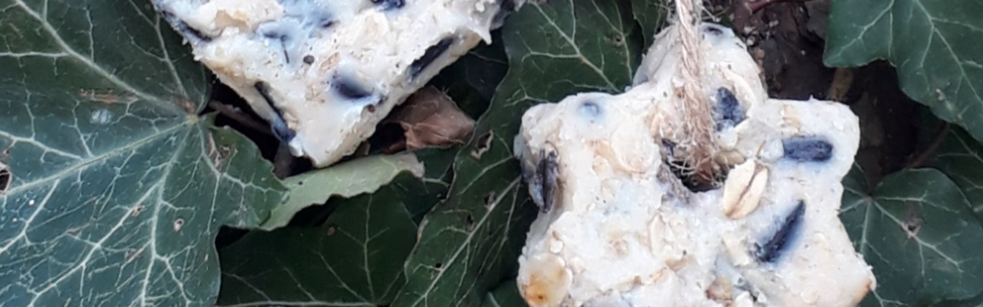 Selbstgemachtes Fettfutter für Vögel