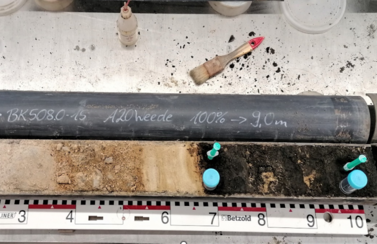 Bohrkern des Projektes A20 Weede 