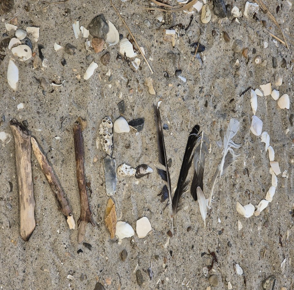 Folgende Szene ist auf dem Foto abgebildet: Holz, Steine, Muscheln und Vogelfedern bilden das Wort NEWS mitten im feinen Strandsand.
