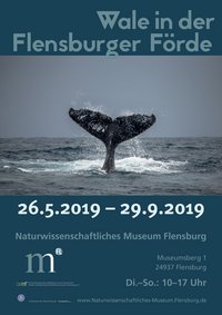 Walfluke