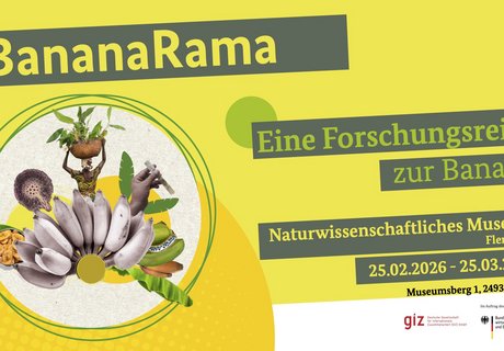 Das Bild zeigt die Ankündigung der Sonderausstellung BananaRama im Naturwissenschaftlichen Museum als Poster. Dargestellt auf bananengelben Untergrund sind als Text die Ankündigungen des Ausstellungstitels und der Ausstellungsdauer. Kleine Bilder auf der linken Seite zeigen Bananen, Bananenblätter, eine Detailaufnahme einer Frau, die einen Korb mit Bananen auf dem Kopf trägt sowie die Detailaufnahme einer Hand mit einem Reagenzglas. Außerdem sind die Logos der Deutschen Gesellschaft für Internationale Zusammenarbeit GmbH und dem Bundesministerium für wirtschaftliche Zusammenarbeit und Entwicklung unten rechts abgebildet.