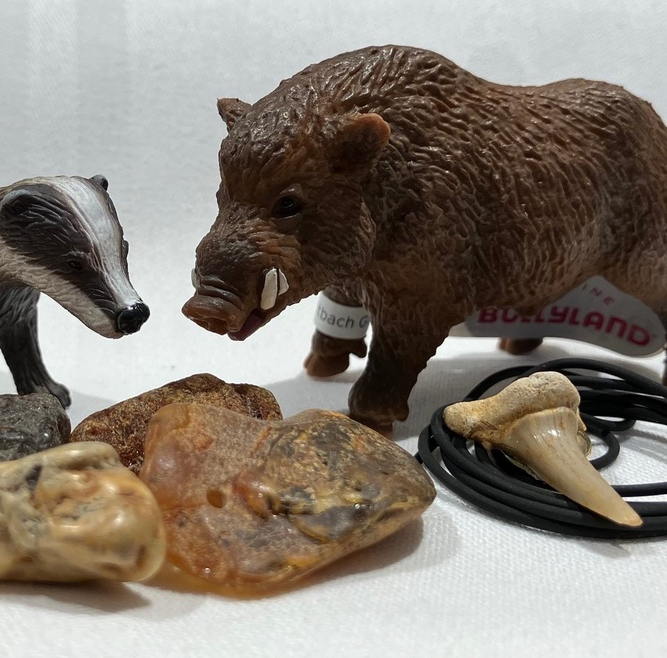 Auf weißem Untergrund befinden sich verschiedene Produkte, die es im Shop zu kaufen gibt. Von links nach rechts sind ein kleines Fässchen mit Gold, eine Dachsfigur und eine Wildschweinfigur zu erkennen. Vor den beiden Tierfiguren liegen drei verschiedene Rohbernsteine und ganz rechts befindet sich ein fossiler Haizahn an einem schwarzen Lederband.