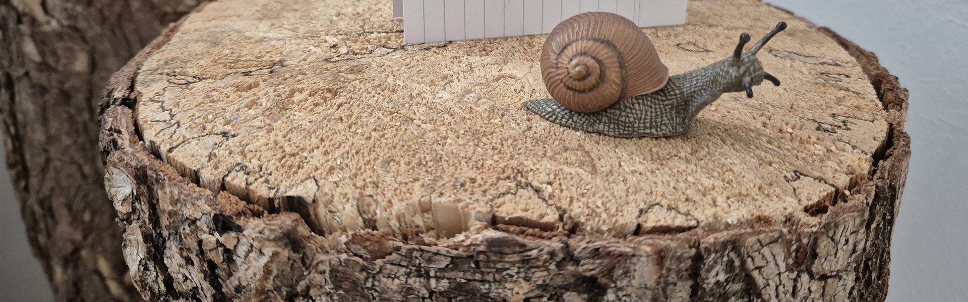 Das Modell einer Weinbergschnecke sitzt auf einem Baumstamm. Hinter dem Modell befindet sich ein Zettel mit der Zahl 14 darauf. Es handelt sich um einen Hinweis in der Entdecker-Tour, dem die Teilnehmenden auf die Spur kommen.